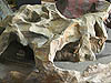Paysage et rocher en papier mache