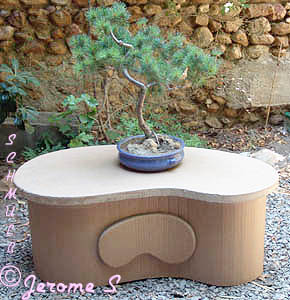 Table basse haricot